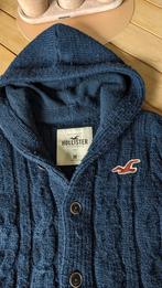 Trui Hollister 100% schaapswol  -  maat M, Vêtements | Hommes, Pulls & Vestes, Enlèvement ou Envoi, Comme neuf, Bleu, Taille 48/50 (M)