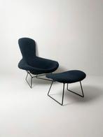 Harry Bertoia ‘Bird’ - Knoll International, Ophalen, Blauw, Zo goed als nieuw, Eén
