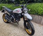 DUCATI SCRAMBLER DESERT SLED - état NEUF, Motos, 1 cylindre, Naked bike, Particulier, Plus de 35 kW