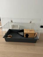 Cage pour lapin et accessoires, Lapin, Utilisé, Cage