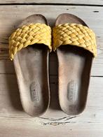 Instappers Nathalie Vleeshouwer, Ophalen, Geel, Instappers