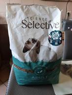 Konijnen eten, Animaux & Accessoires, Nourriture pour Animaux, Enlèvement, Rongeur ou Lapin