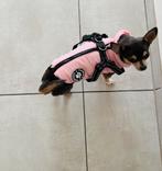 Hondenjasje maat S, Dieren en Toebehoren, Ophalen of Verzenden, Zo goed als nieuw