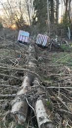 Gratis “brand” hout, 6 m³ ou plus, Enlèvement, Troncs d'arbres