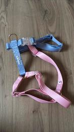 Honden harnas, Enlèvement, Neuf, Laisse pour chien
