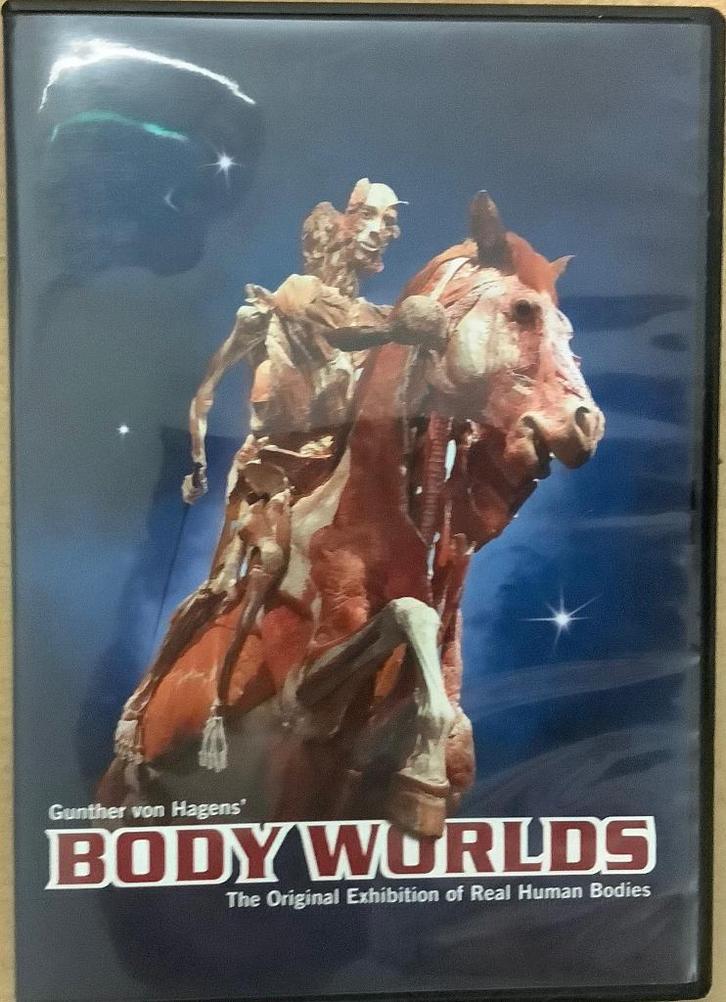 Body Worlds (2003) Dvd, CD & DVD, DVD | Documentaires & Films pédagogiques, Utilisé, Science ou Technique, À partir de 16 ans