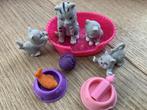 Poesjes met accessoires, Ophalen