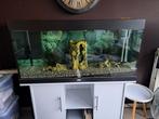 Aquarium juwel, Dieren en Toebehoren, Ophalen, Gebruikt, Gevuld zoetwateraquarium