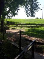 Huis met manege te koop — regio Binche, Immo, Provincie Henegouwen, 3 kamers, 400 m², Vrijstaande woning