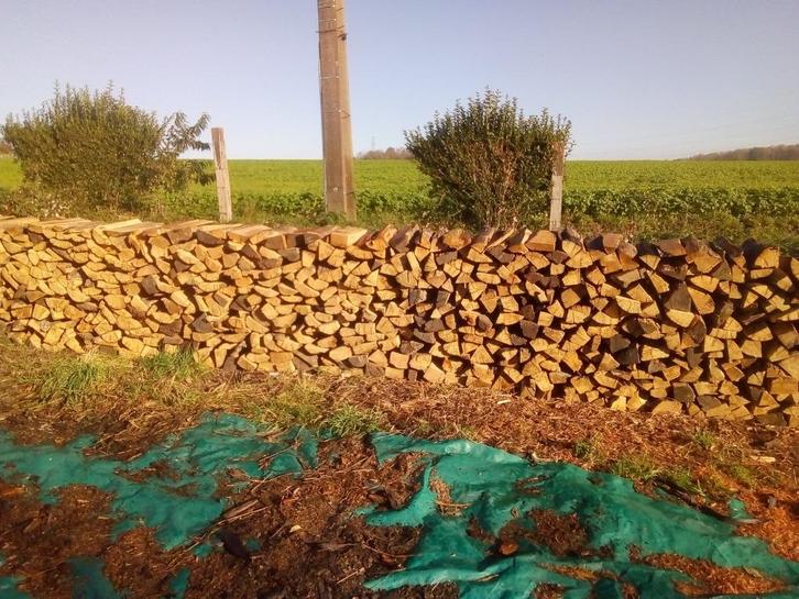 DROOG BRANDHOUT VAN HOGE KWALITEIT, HET HELE JAAR DOOR, Doe-het-zelf en Bouw, Verwarming en Radiatoren, Gebruikt, Ophalen of Verzenden