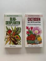 Bladsierplanten, William Davidson, Cactussen en vetplanten,, Ophalen of Verzenden, Zo goed als nieuw, Tuinieren en Tuinplanten