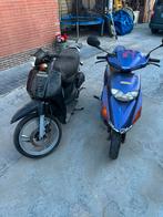 Honda scoopie/Honda SFX, Particulier