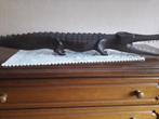 Crocodile en bois tropical 95 cm Apporté du Congo en 58, Comme neuf, Enlèvement ou Envoi