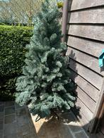 Kerstboom, Diversen, Kerst, Ophalen
