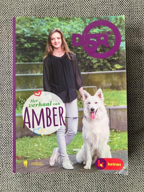 Leen Claes - Het verhaal van Amber, Boeken, Kinderboeken | Jeugd | 13 jaar en ouder, Zo goed als nieuw, Ophalen of Verzenden