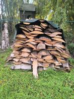 Brandhout Eik, lengsels van ongeveer 1.7m, Tuin en Terras, 3 tot 6 m³, Ophalen, Eikenhout, Stammen