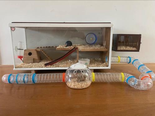 Super hamster verblijf met apart overnachting kamertje., Dieren en Toebehoren, Knaagdieren, Hamster