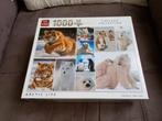 Puzzle King 1000 pièces - La vie polaire, Hobby & Loisirs créatifs, 500 à 1500 pièces, Puzzle, Utilisé, Enlèvement ou Envoi