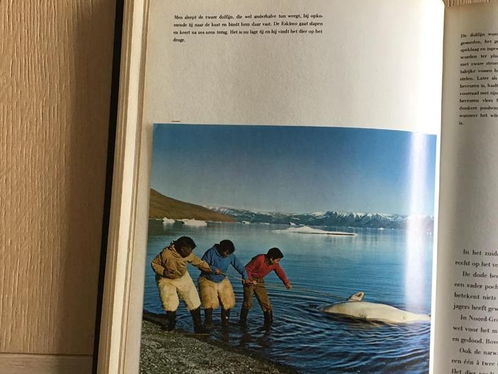 Boek v.Groenland speciaal land m.sneeuw ,eskimo,s,robben enz, Boeken, Reisgidsen, Zo goed als nieuw, Reisgids of -boek, Ophalen of Verzenden