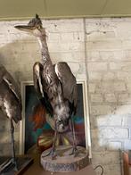 Taxidermie reiger, Enlèvement ou Envoi, Comme neuf