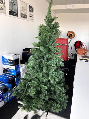 Sapin de noël, Divers, Enlèvement, Utilisé