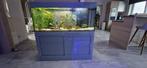 Aquarium complet à vendre, Dieren en Toebehoren, Vissen | Aquaria en Toebehoren, Ophalen, Gebruikt, Leeg aquarium