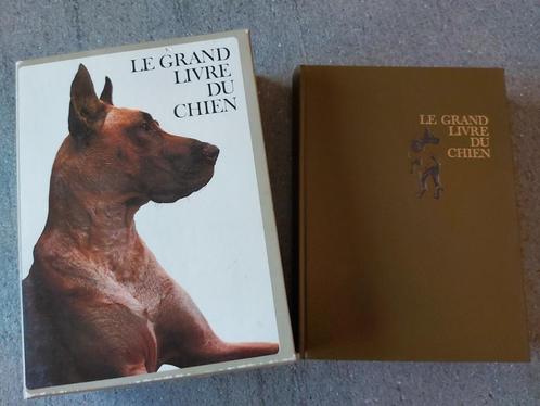 Chien Hond Labrador Lassie Buldog Asiel Herder Nouriture Kat, Boeken, Politiek en Maatschappij, Zo goed als nieuw, Maatschappij en Samenleving