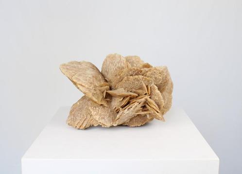 woestijnroos, Verzamelen, Mineralen en Fossielen, Mineraal, Ophalen