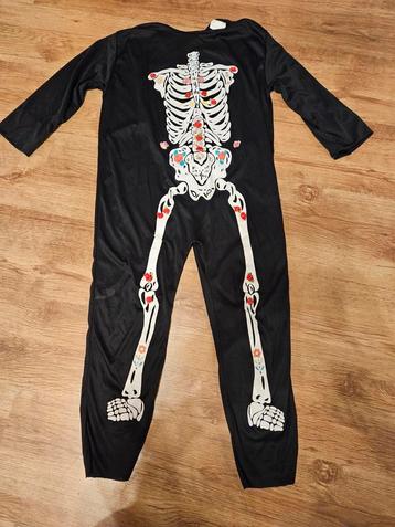 Geraamte halloween beschikbaar voor biedingen