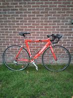 Koersfiets Flanders (Rijklaar), Fietsen en Brommers, Ophalen, Gebruikt