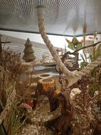 Maatwerk muizen terrarium 100x93x76, Animaux & Accessoires, Neuf, Souris, Enlèvement ou Envoi, Niche