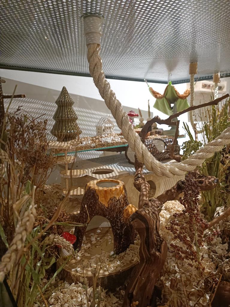 Maatwerk muizen terrarium 100x93x76, Animaux & Accessoires, Rongeurs & Lapins | Cages & Clapiers, Neuf, Niche, 60 à 90 cm, 75 à 110 cm