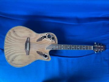 Guitare Electro Acoustique Red Hill ARB-45 beschikbaar voor biedingen