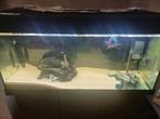 Rio 180 in perfecte staat, Dieren en Toebehoren, Vissen | Aquaria en Toebehoren, Ophalen of Verzenden, Zo goed als nieuw