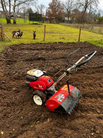 Grondfrees, motoculteur bakfrees 6 pk yanmar beschikbaar voor biedingen