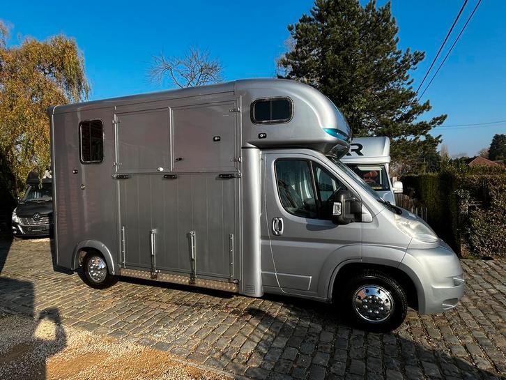 Mooie paardencamionette Hengstenuitvoering, Dieren en Toebehoren, Paarden en Pony's | Trailers en Aanhangwagens, Zo goed als nieuw