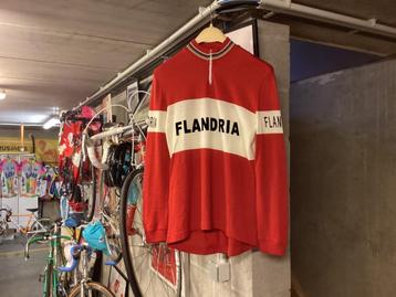 Flandria wollen wielertrui  beschikbaar voor biedingen