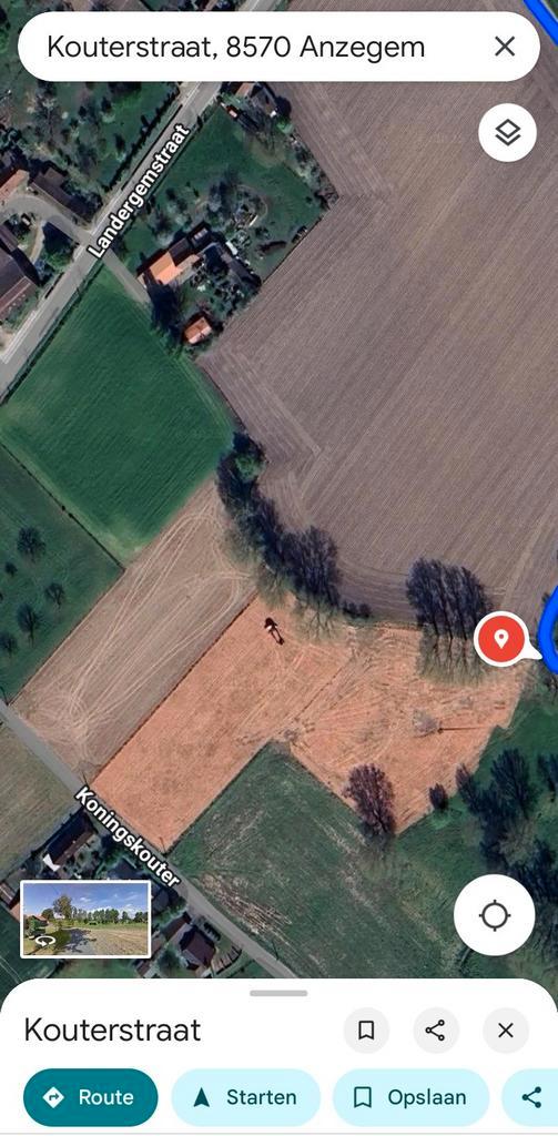 Bos in aanleg. Voedselbos, Tuin en Terras, Planten | Fruitbomen, Ophalen