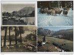 4 cartes postales moutons promenés, Collections, Cartes postales | Animaux, Affranchie, Autres, Envoi