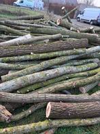 Brand hout, 6 m³ ou plus, Enlèvement ou Envoi, Autres essences de bois, Troncs d'arbres