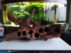 Mooi stuk hout voor in het aquarium met geboorde legholen, Dieren en Toebehoren, Ophalen