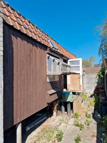 Duivenhok zelf afbreken en afhalen te Brugge, Dieren en Toebehoren, Ophalen, Gebruikt