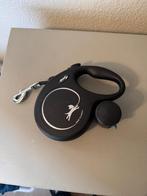 Rollijn grote hond, Dieren en Toebehoren, Ophalen