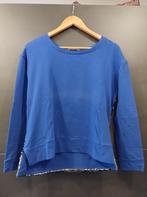 Blauwe trui met pailletten, Kleding | Dames, Blauw, Zo goed als nieuw, Maat 36 (S), Ophalen