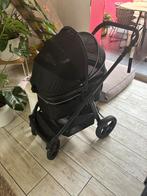 Honden buggy ongeveer 1 maand oud, Dieren en Toebehoren, Ophalen, Zo goed als nieuw