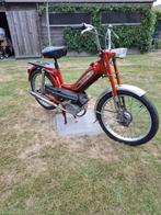 Flandria Penny, Fietsen en Brommers, 0 versnellingen, Klasse A (25 km/u), 49 cc, Ophalen