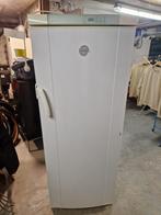 koelkast Electrolux ERE 3000, Ophalen, 200 liter of meer, 60 cm of meer, 140 tot 160 cm