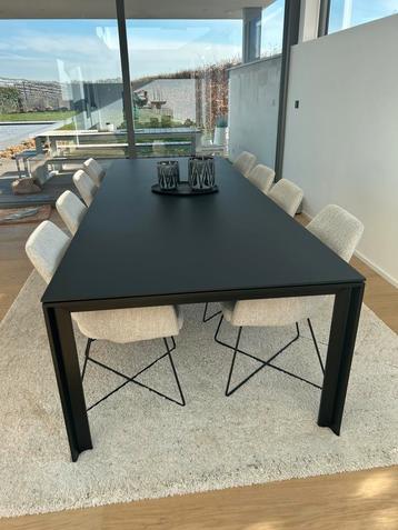 Table de salle à manger avec 8 chaises, Comme neuf, Enlèvement, 200 cm ou plus, Cinq personnes ou plus
