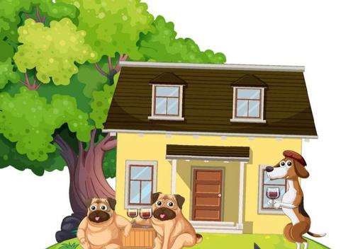BIJZONDERE AANVRAAG     Zoek huis te huur, Immo, Op zoek naar een huis