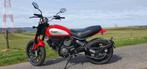 A vendre DUCATI SCRAMBLER Icon 800, Naked bike, Particulier, 2 cylindres, Plus de 35 kW
